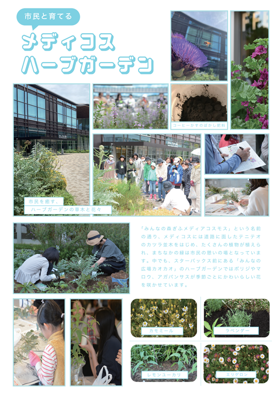 【受付終了】メディコスハーブガーデン講座(2025) | 講座