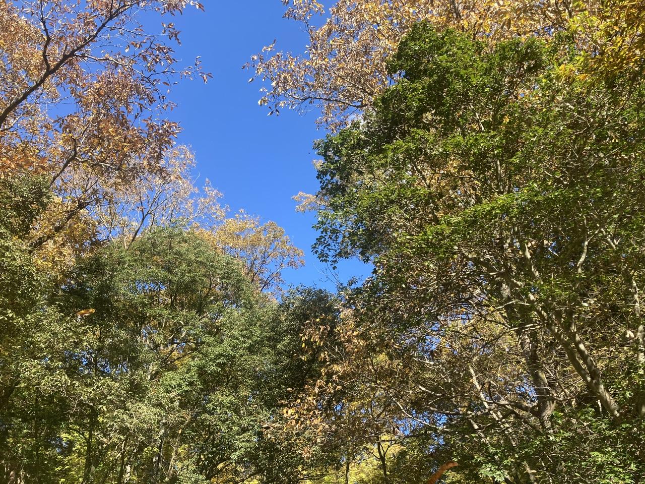 兎追いしかの山、小鮒釣りしかの川 ・・・かつてはどこにでもあった里山の情景を求めて岐阜市東部「すずろしの里」の里山まつりに参加してみて思ったこと