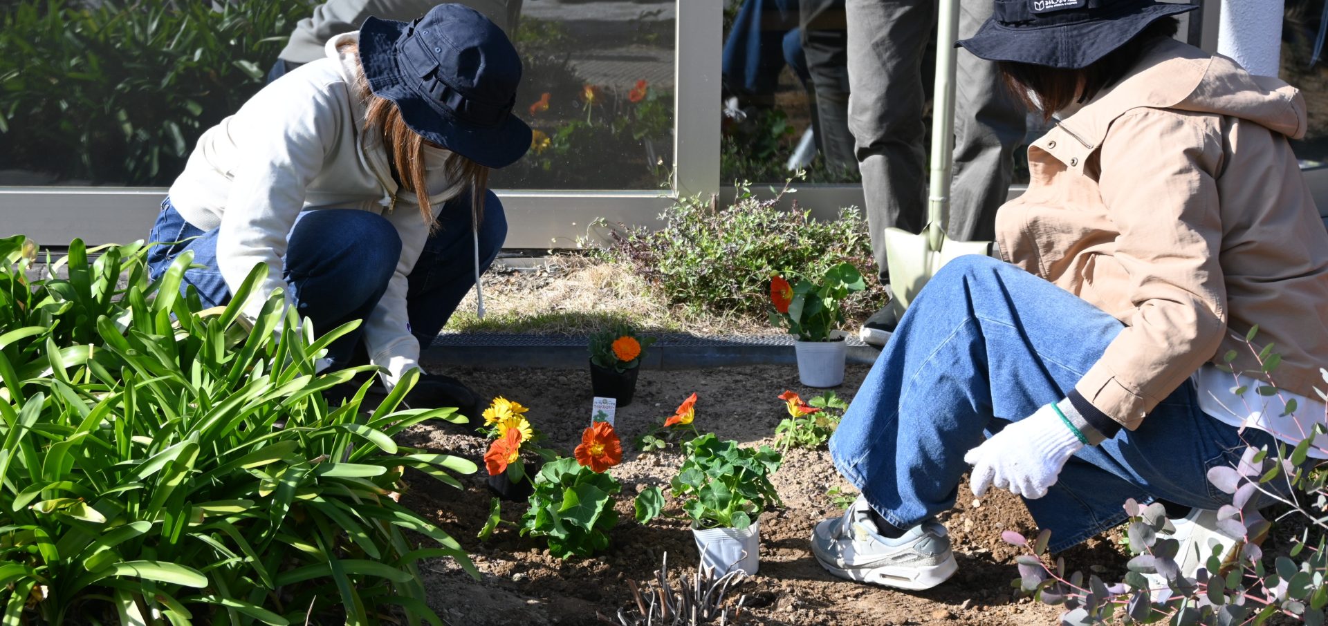メディコスハーブガーデン3月の植栽会！