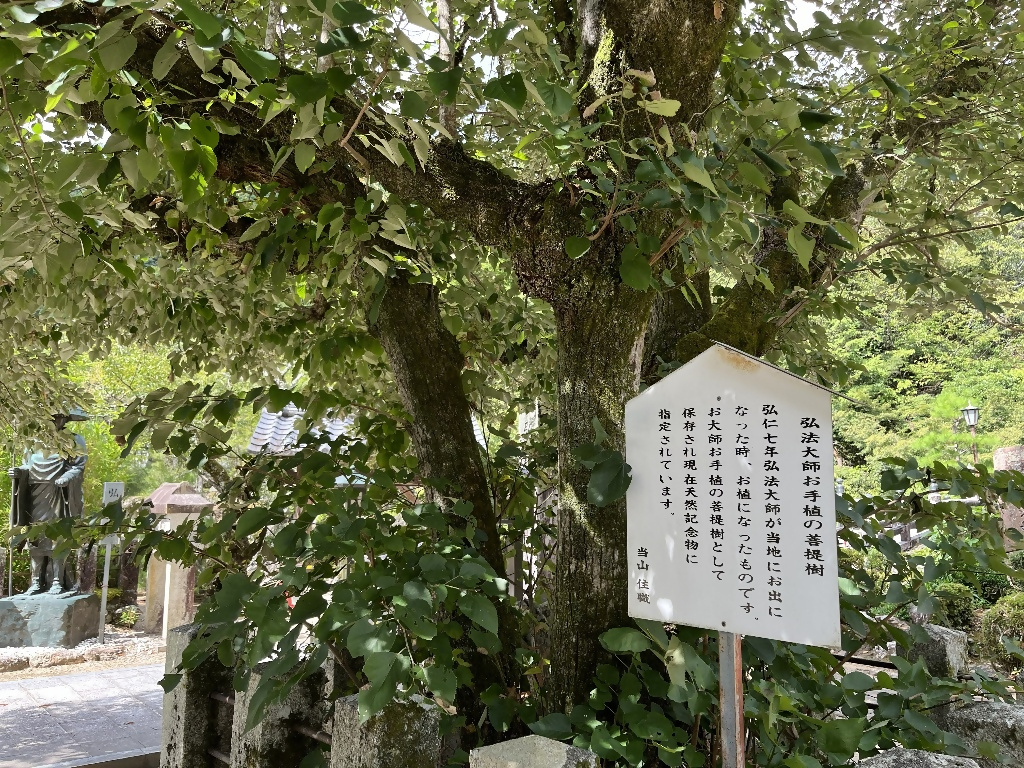 三田洞弘法 | 歴史を歩く